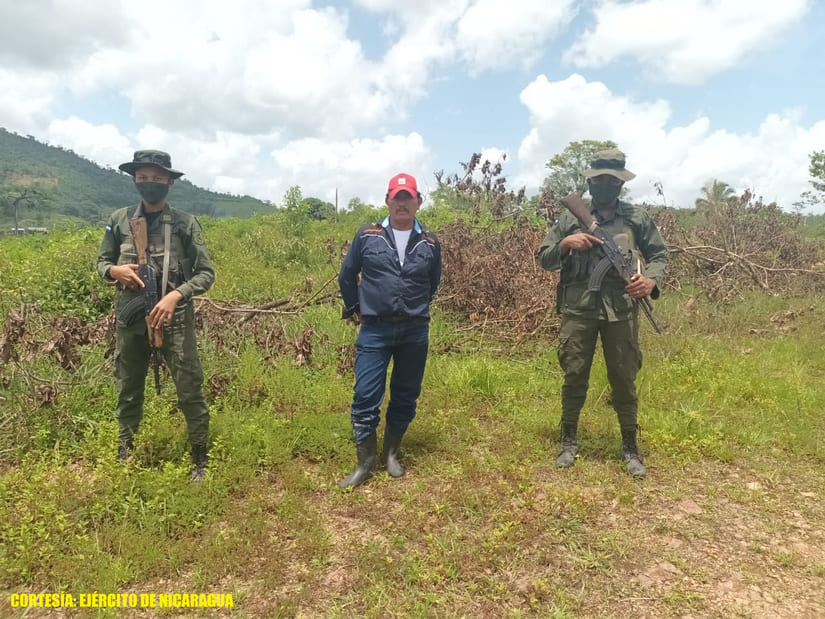 ganado